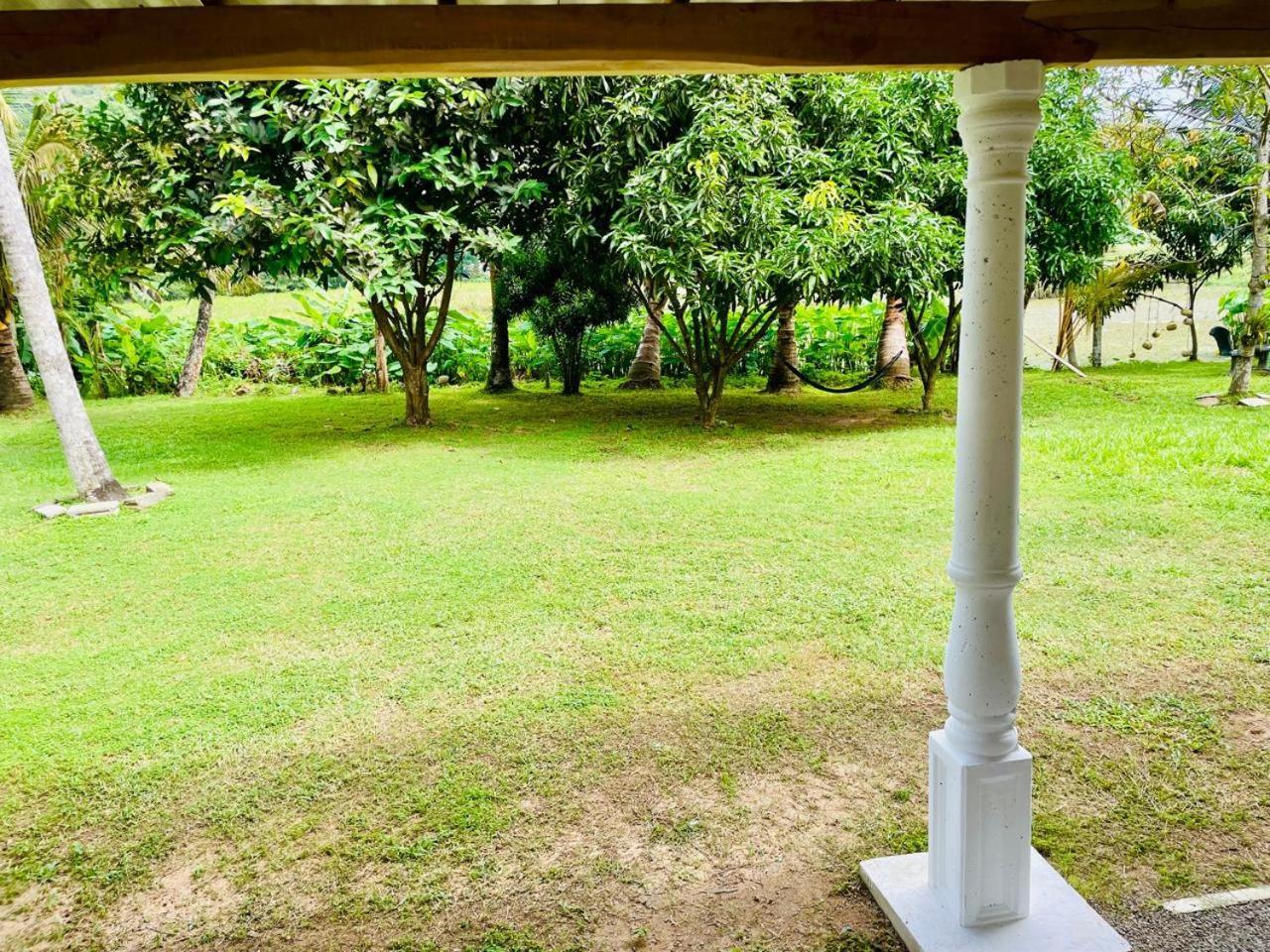 Willa Secret Garden Mirissa Zewnętrze zdjęcie